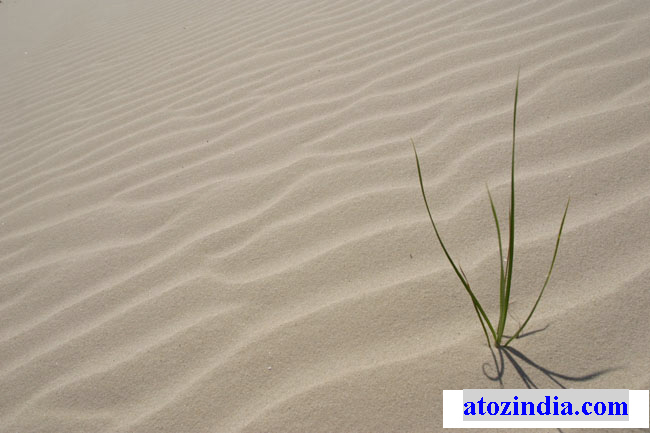 sand dunes osman sagar.jpg